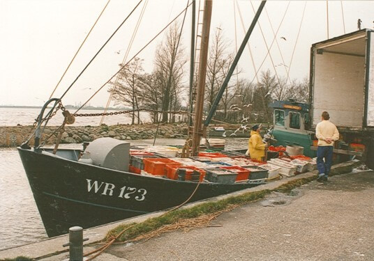 Visserijbedrijf T. Barelds, Duurzaam vissen op en handelen in o.a. Wolhandkrab, Scheermessen, Noordzee krab, Japanse oester, Mosselen, Kreeft, Europese zalm, Pootvis, Baars ,Karper, Paling, Rivierkreeft, Snoek, Snoekbaars, Voorn, Zeelt