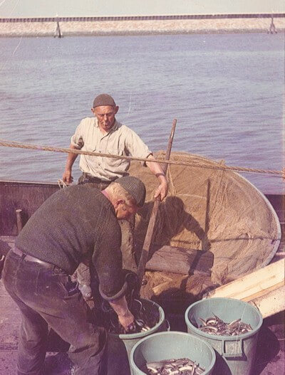 Visserijbedrijf T. Barelds, Duurzaam vissen op en handelen in o.a. Wolhandkrab, Scheermessen, Noordzee krab, Japanse oester, Mosselen, Kreeft, Europese zalm, Pootvis, Baars ,Karper, Paling, Rivierkreeft, Snoek, Snoekbaars, Voorn, Zeelt