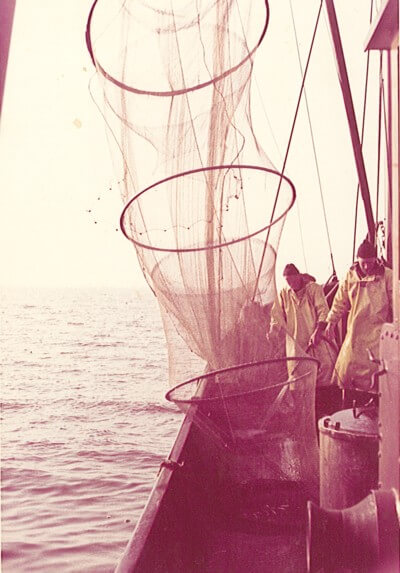 Visserijbedrijf T. Barelds, Duurzaam vissen op en handelen in o.a. Wolhandkrab, Scheermessen, Noordzee krab, Japanse oester, Mosselen, Kreeft, Europese zalm, Pootvis, Baars ,Karper, Paling, Rivierkreeft, Snoek, Snoekbaars, Voorn, Zeelt