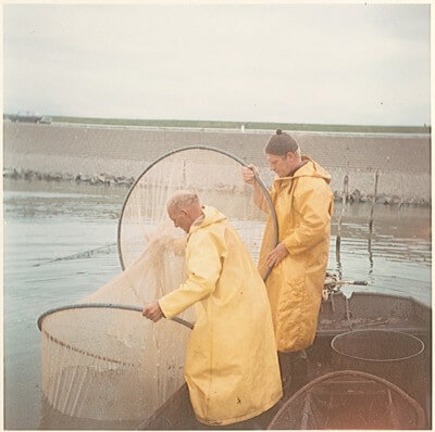 Visserijbedrijf T. Barelds, Duurzaam vissen op en handelen in o.a. Wolhandkrab, Scheermessen, Noordzee krab, Japanse oester, Mosselen, Kreeft, Europese zalm, Pootvis, Baars ,Karper, Paling, Rivierkreeft, Snoek, Snoekbaars, Voorn, Zeelt