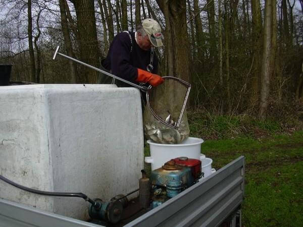 Visserijbedrijf T. Barelds, Duurzaam vissen op en handelen in o.a. Wolhandkrab, Scheermessen, Noordzee krab, Japanse oester, Mosselen, Kreeft, Europese zalm, Pootvis, Baars ,Karper, Paling, Rivierkreeft, Snoek, Snoekbaars, Voorn, Zeelt