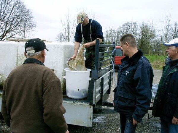 Visserijbedrijf T. Barelds, Duurzaam vissen op en handelen in o.a. Wolhandkrab, Scheermessen, Noordzee krab, Japanse oester, Mosselen, Kreeft, Europese zalm, Pootvis, Baars ,Karper, Paling, Rivierkreeft, Snoek, Snoekbaars, Voorn, Zeelt